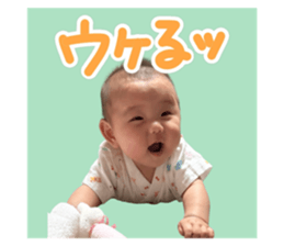 784546005