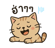 784552252