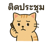 784552258