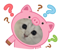 784558341