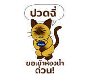 784569339