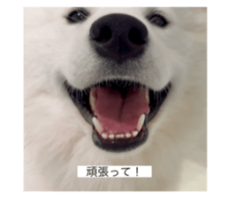 784577623