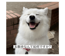 784597808