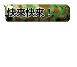 784616262