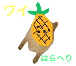 784623340