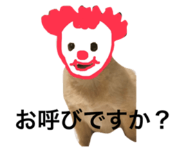 784623342