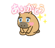 784648037