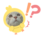 784665961