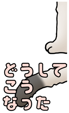 784684079