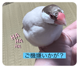 784726284