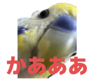 784726432