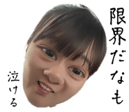 784773428