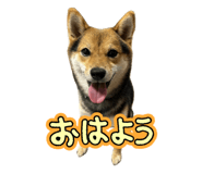 784774119