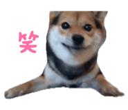 784774126