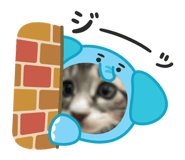 784775900