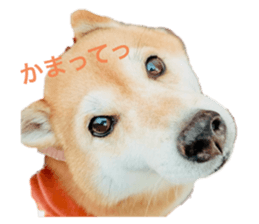 784780050