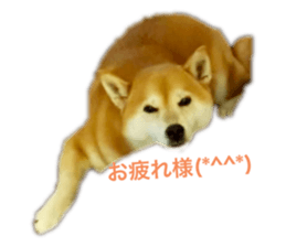 784780055