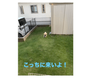 784780250