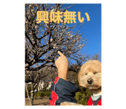 784780251