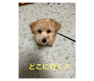 784780268