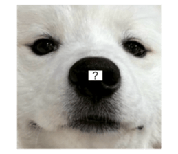 784784179