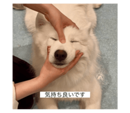 784784184