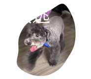 784796169