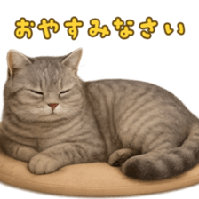 784799861