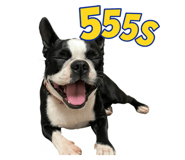784799900