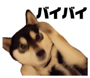 784803580