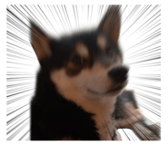 784803587