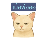 784809117
