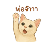 784809119