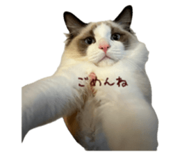 784836977