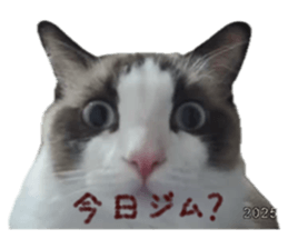 784836978