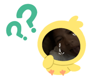 784844336