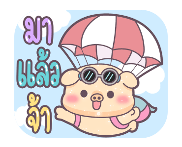 ลายที่ 15