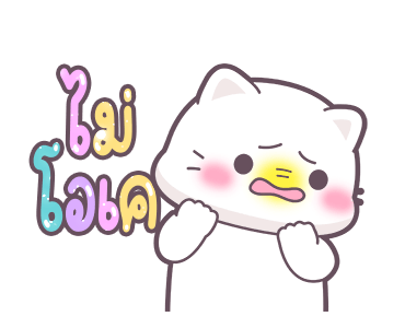 ลายที่ 23