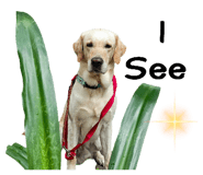 784880986