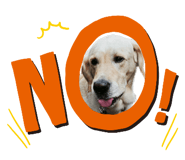 784881010