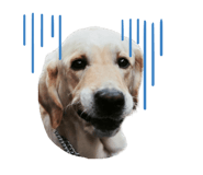 784881012