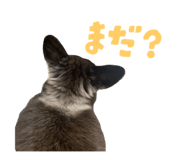 784897313