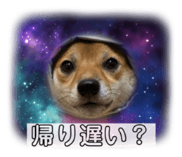 784902258