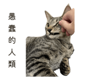 784913081