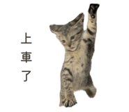 784913083