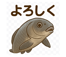 784918672