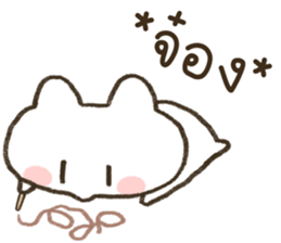 HINARO (ตุ๊บป่อง) รูปที่ 3