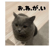 784961005