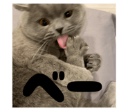 784961031
