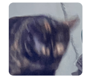 784979299
